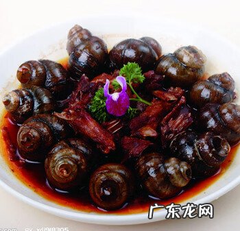 孕妇可以吃田螺吗初期