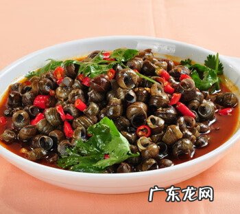 孕妇可以吃田螺吗初期