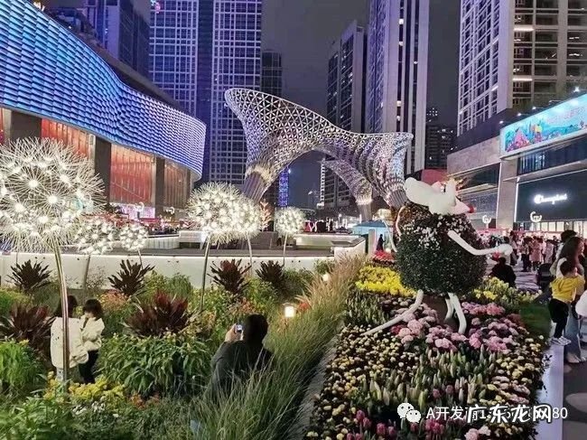 中心天元花市 中心天元位置