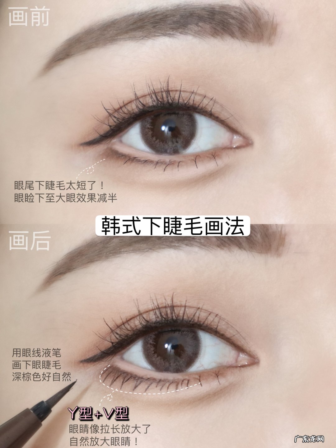 到底是应该先画眼影还是先夹眼睫毛啊?还有是先画眼线还是先夹眼睫毛啊?