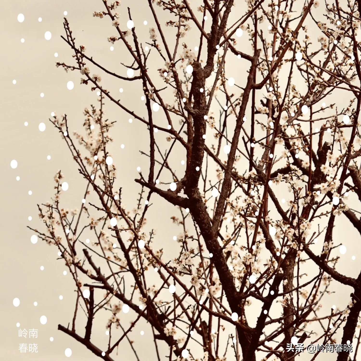 你打算在12月31日发什么朋友圈跨年文案？