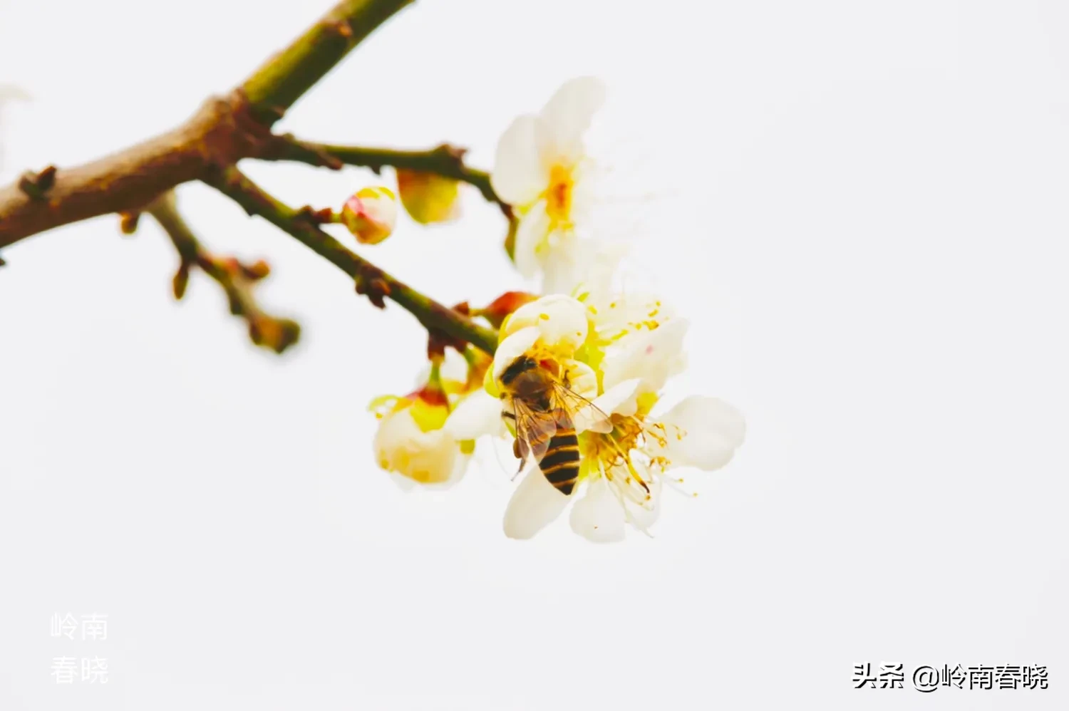 你打算在12月31日发什么朋友圈跨年文案？