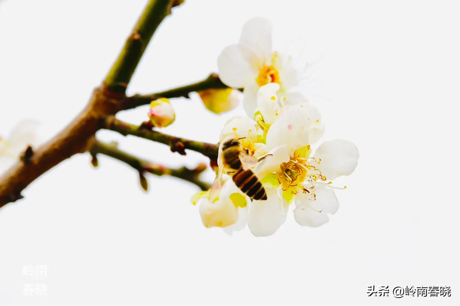 你打算在12月31日发什么朋友圈跨年文案？