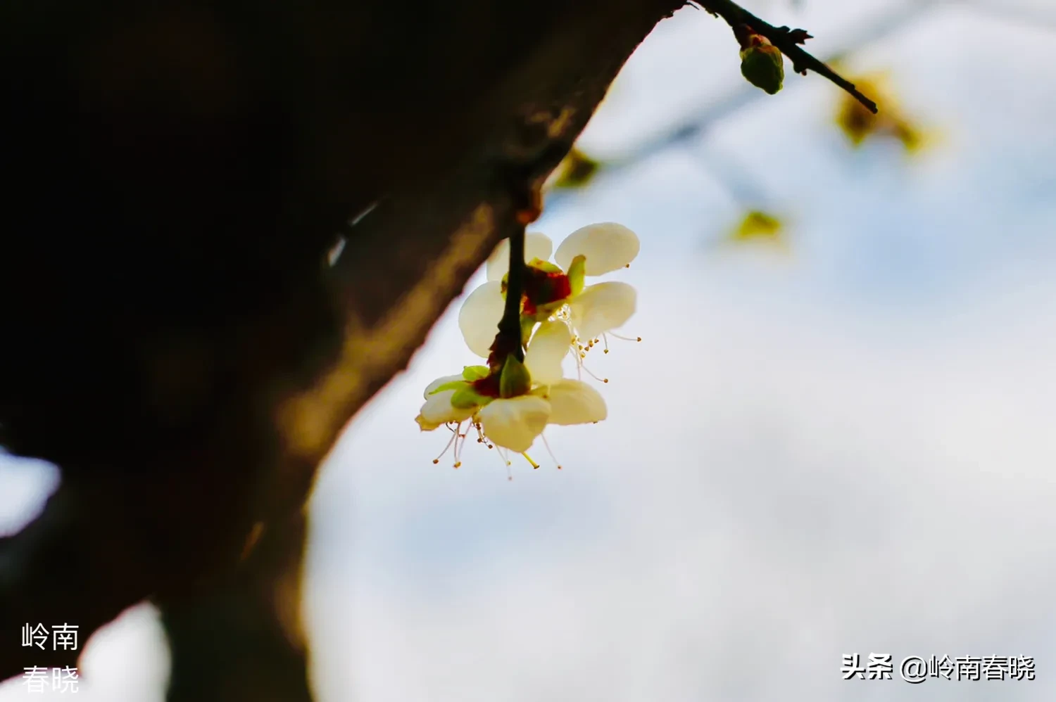 你打算在12月31日发什么朋友圈跨年文案？