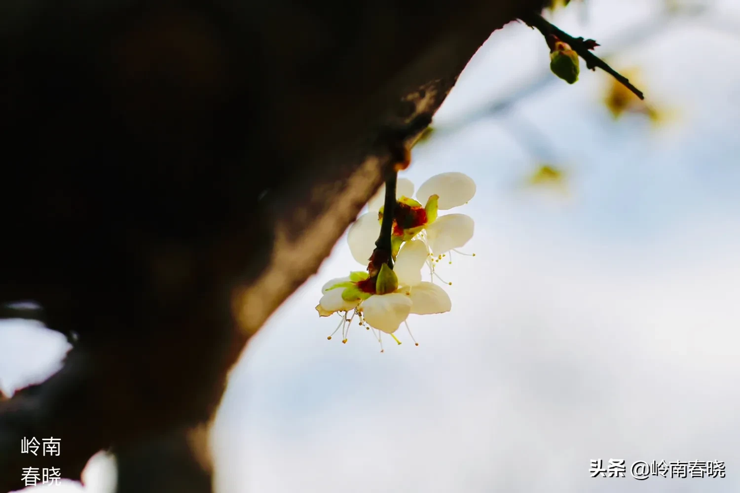 你打算在12月31日发什么朋友圈跨年文案？