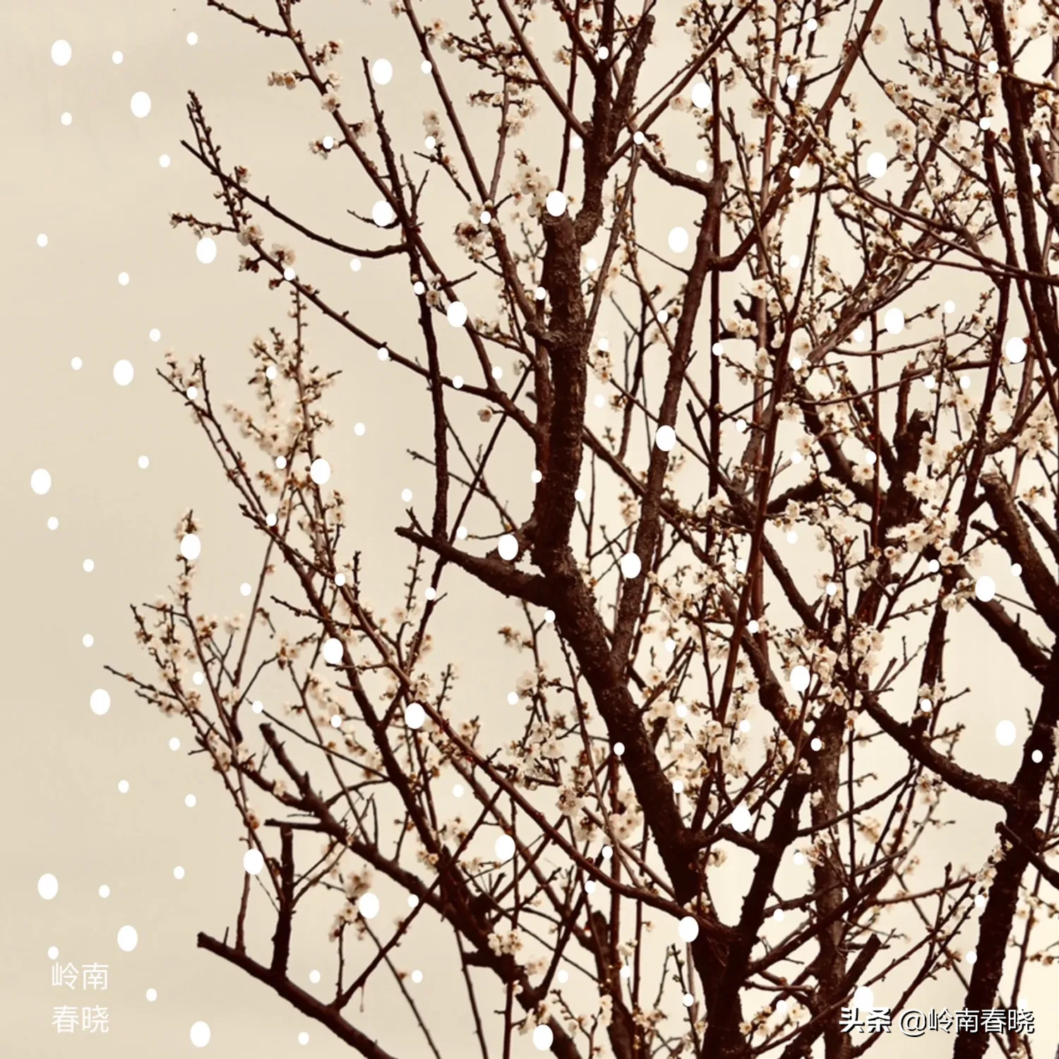 你打算在12月31日发什么朋友圈跨年文案？