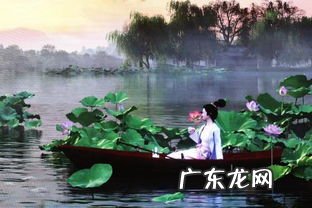 争渡争渡惊起一滩鸥鹭出自 争渡争渡惊起一滩鸥鹭的读音