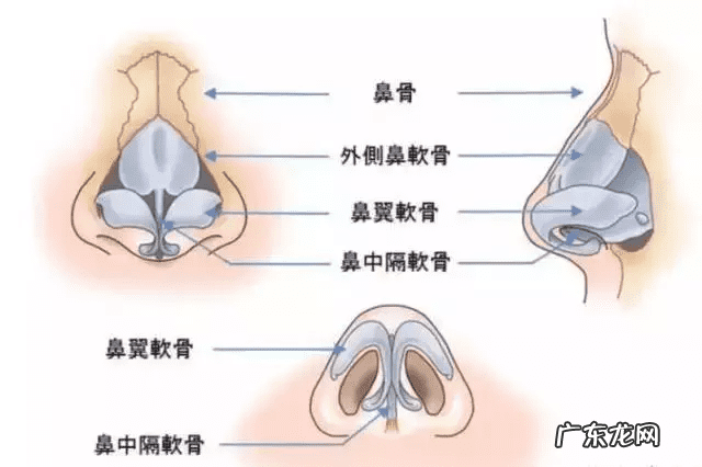 隆鼻精油真的有用吗 隆鼻精油吧
