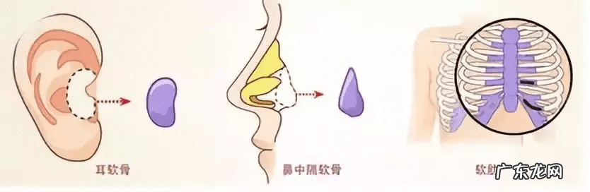 隆鼻精油真的有用吗 隆鼻精油吧