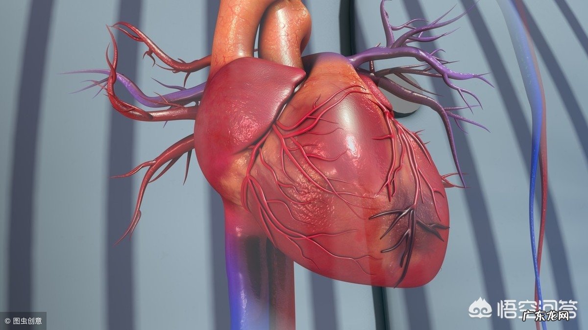 年轻人经常熬夜究竟会不会诱发心肌梗死呢?