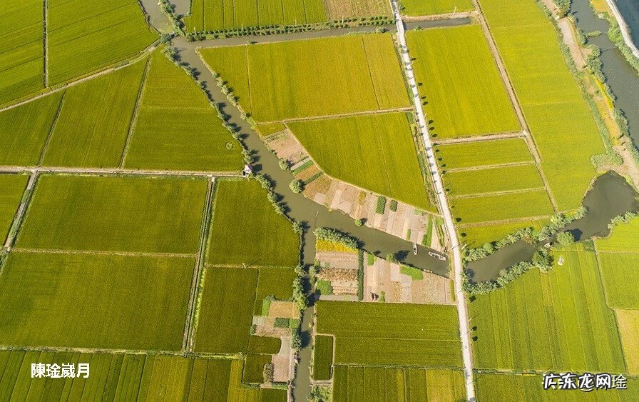 背什么颜色的包风水好 挎包用什么颜色比较好风水