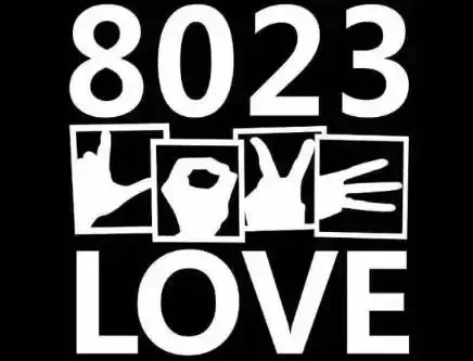 8203是什么意思?