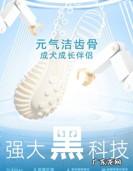 洁齿骨和磨牙棒的区别 洁齿骨有用吗