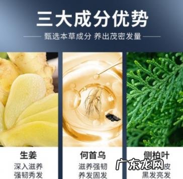 汉柔洗发水 汉方防脱发洗发水