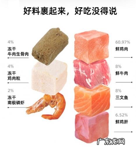 宠贝客猫粮 O客猫粮怎么样