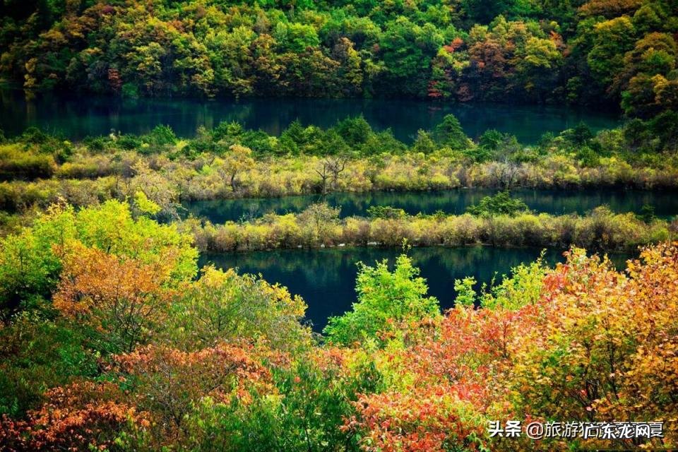 关于九寨沟的资料简介 有关九寨沟的资料