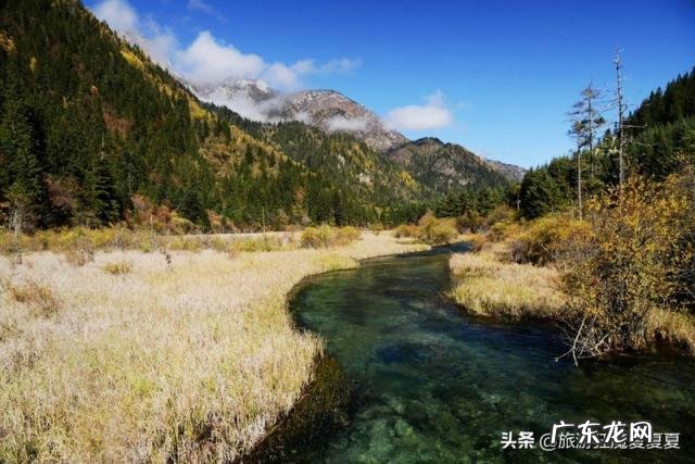关于九寨沟的资料简介 有关九寨沟的资料