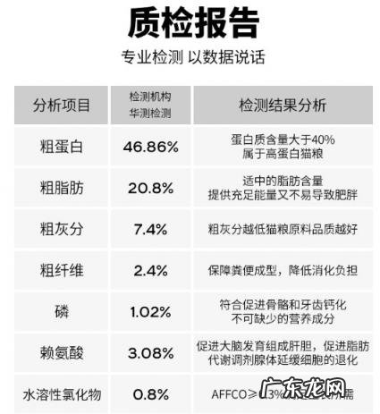 友只宠物猫粮怎么样 三只小猫猫粮