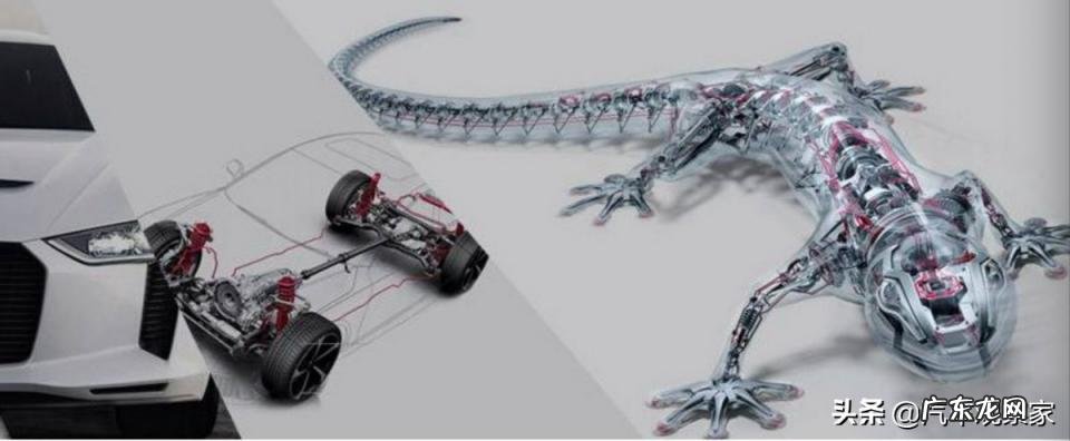 四个圈是什么车最低价 四个圈的是什么车?大概多少钱?