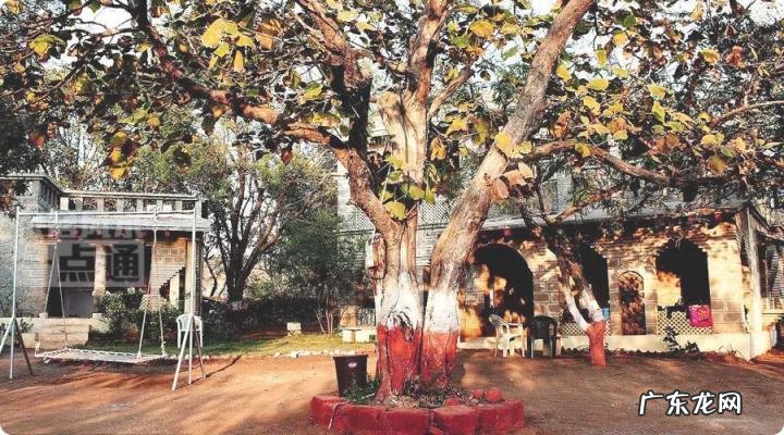 草木茂盛 草木茂盛的地方风水