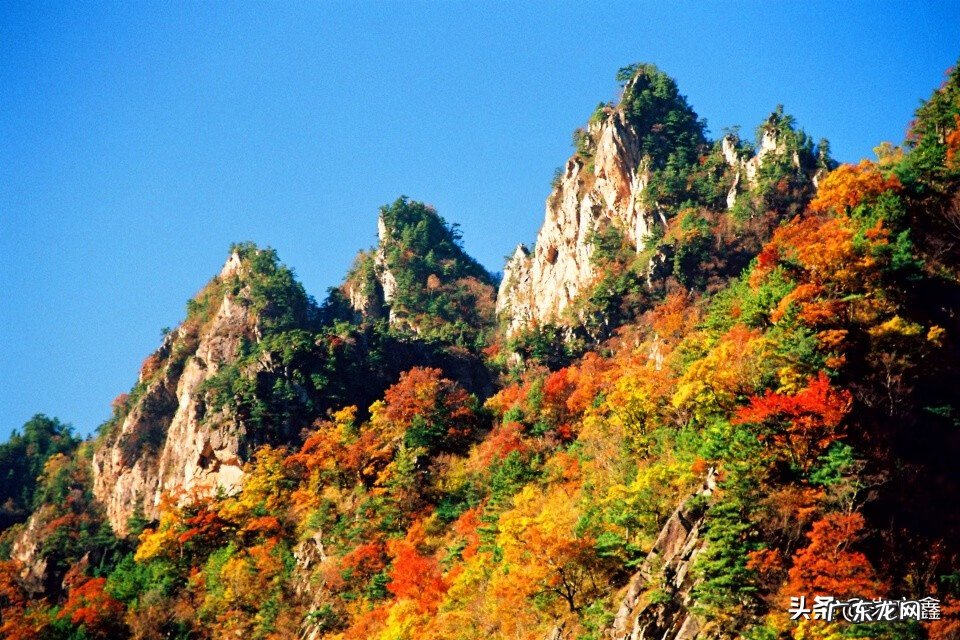 广西 岭 事件 风水岭世界广西