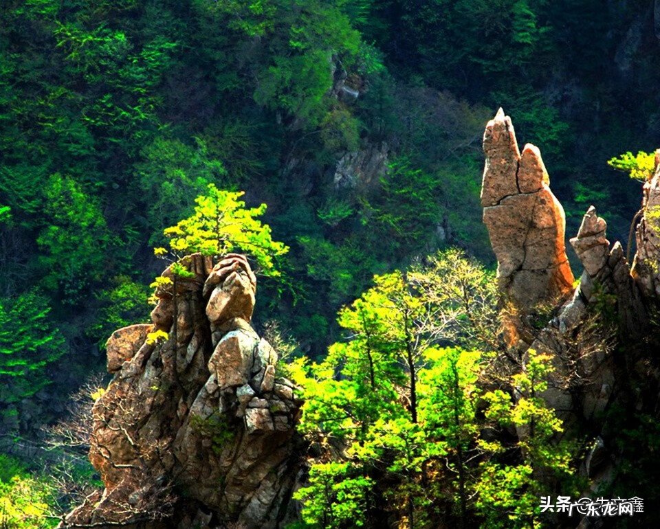 广西 岭 事件 风水岭世界广西