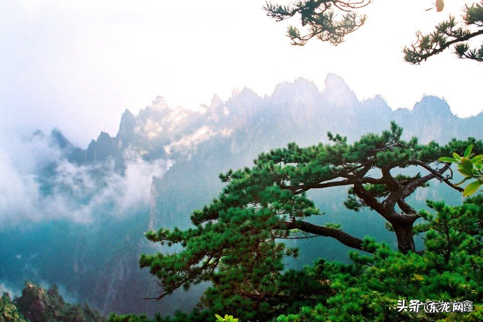 广西 岭 事件 风水岭世界广西