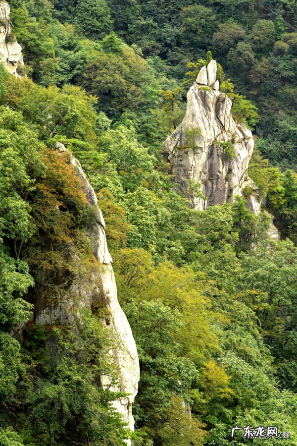 广西 岭 事件 风水岭世界广西