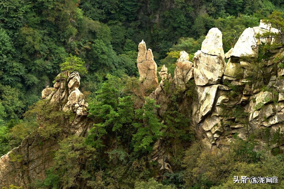 广西 岭 事件 风水岭世界广西