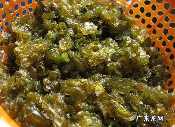 地儿菜 地耳菜是什么菜
