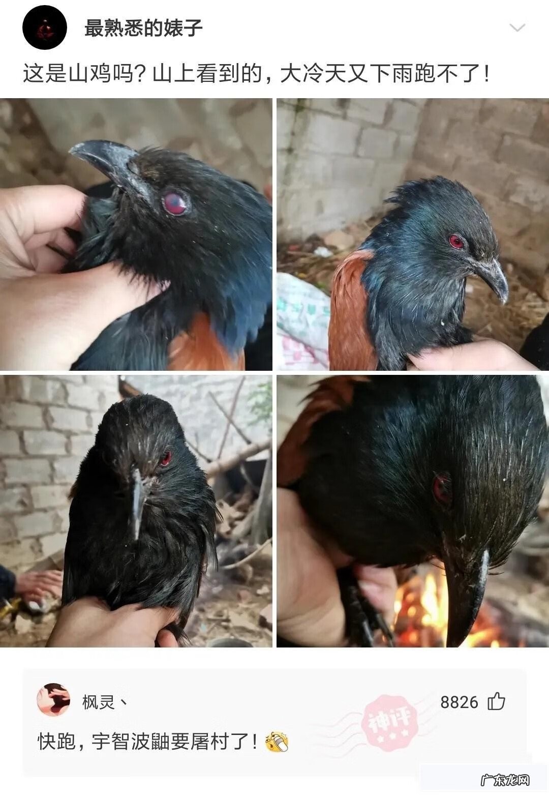 如何和新班主任打招呼 初次与老师在微信打招呼话语在群里