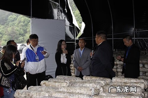 西安兆隆学院好不 西安兆隆怎么样