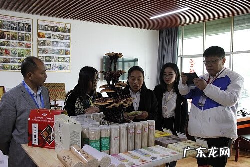 西安兆隆学院好不 西安兆隆怎么样