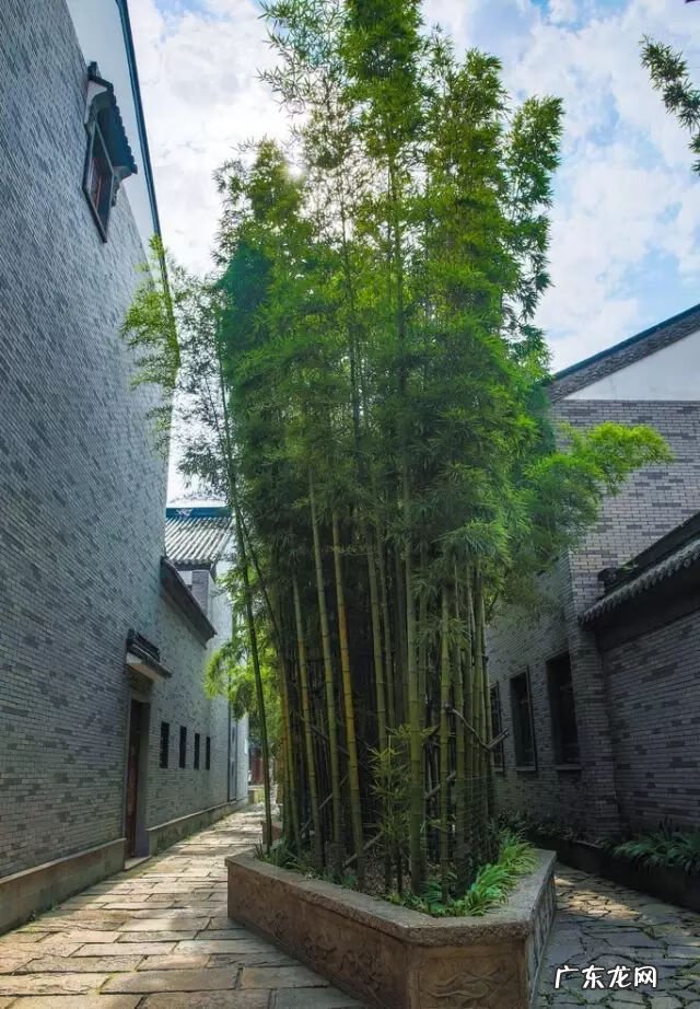 竹子吊帘 风水 竹子