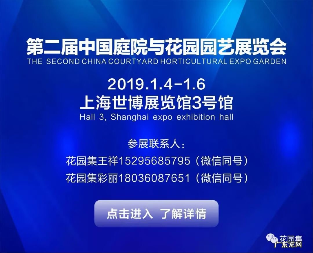 竹子吊帘 风水 竹子