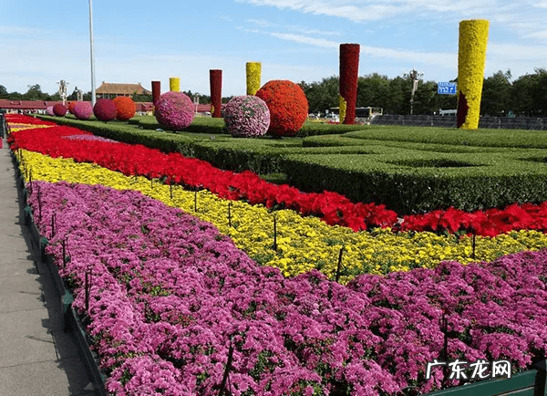 小花坛设计及设计说明 花坛设计说明范文