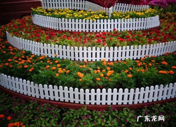 小花坛设计及设计说明 花坛设计说明范文