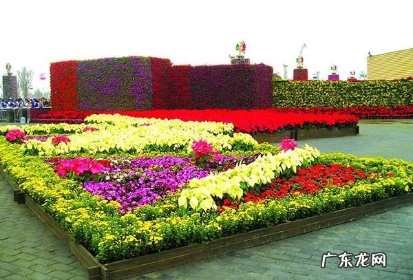 小花坛设计及设计说明 花坛设计说明范文