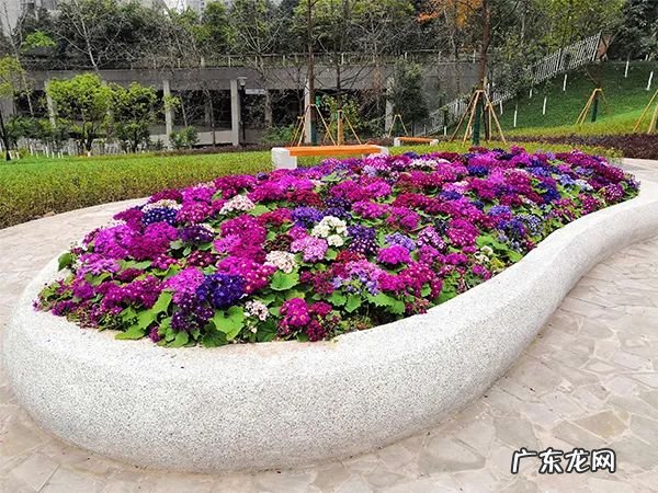 小花坛设计及设计说明 花坛设计说明范文