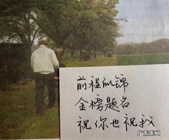 英语高考试卷 英语高考