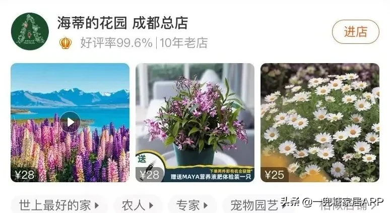 淘宝开花店 淘宝花店推荐