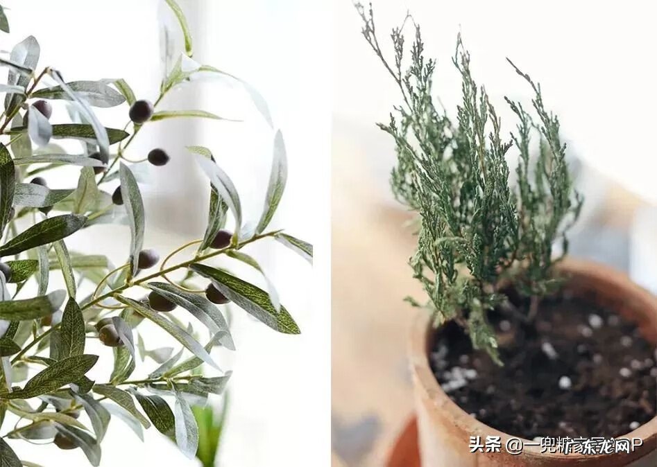 淘宝开花店 淘宝花店推荐