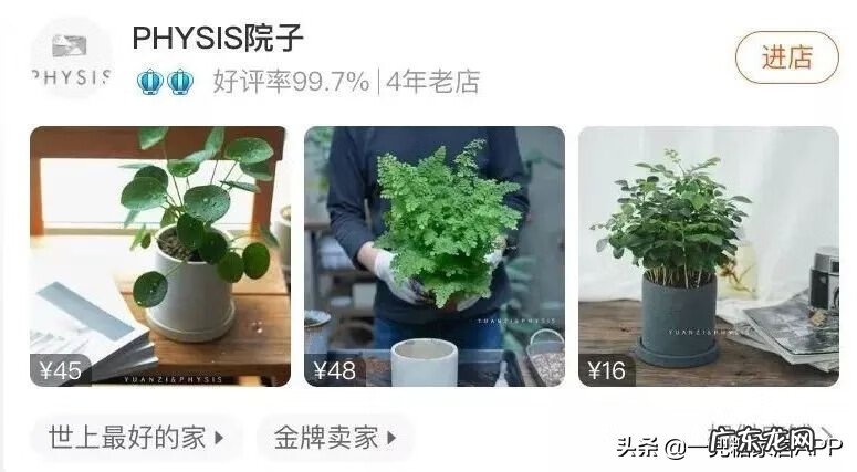 淘宝开花店 淘宝花店推荐