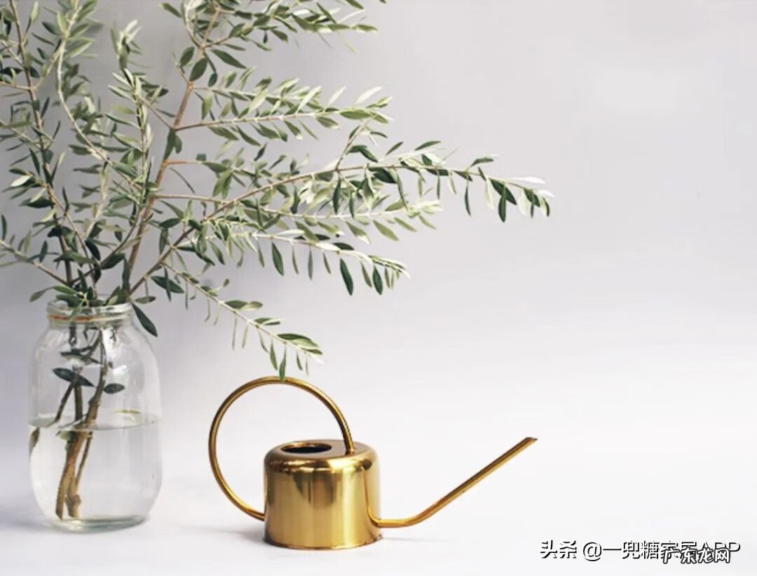 淘宝开花店 淘宝花店推荐