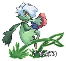 口袋妖怪白金波克比进化 口袋妖怪白金波克比有用吗