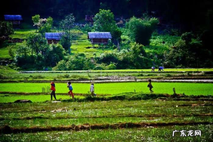 家山风水 风水父母山形状