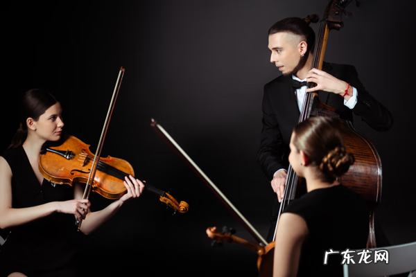 加拿大音乐学院 美国音乐学院有哪些