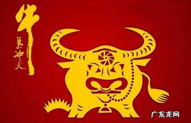 属牛本命年不好吗 属牛的真的不怕本命年吗为什么