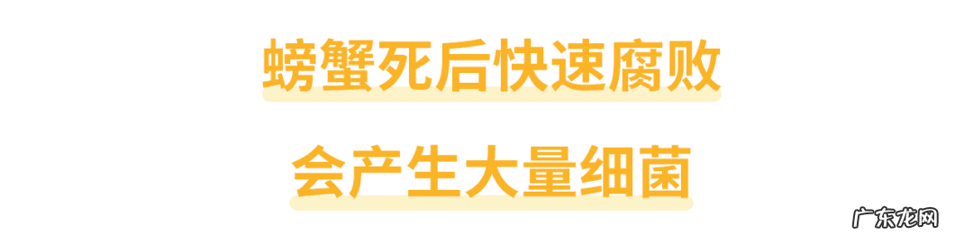刚死的河蟹还能吃吗 河蟹死了还能不能吃了
