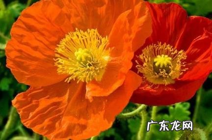 最吸引人打招呼的句子 最吸引人打招呼的句子微信聊天